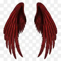 头发 红色 翅膀-空若网 头发 红色 翅膀-空若网