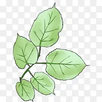 ˮ�ʻ� ���� ʪī-������