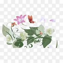 花 植物 叶-空若网 花 植物 叶-空若网