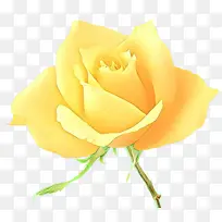 卡通 花园玫瑰 黄色-空若网 卡通 花园玫瑰 黄色-空若网