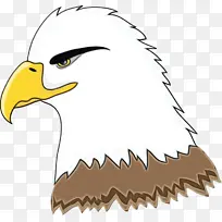 Ë®²Ê» ÑÕÁÏ ÊªÄ«-¿ÕÈôÍø Ë®²Ê» ÑÕÁÏ ÊªÄ«-¿ÕÈôÍø