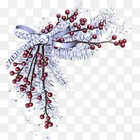 树枝 树 植物-空若网 树枝 树 植物-空若网