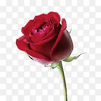 ���� ��԰õ�� ����ֲ��-������