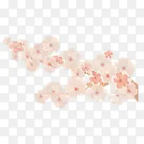 卡通 粉色 樱花-空若网 卡通 粉色 樱花-空若网