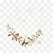 ¿¨Í¨ Ê÷Ò¶ Ê÷Ö¦-¿ÕÈôÍø ¿¨Í¨ Ê÷Ò¶ Ê÷Ö¦-¿ÕÈôÍø