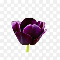 水彩 颜料 湿墨-空若网 水彩 颜料 湿墨-空若网