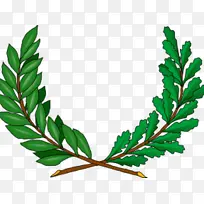 叶 植物 草本植物-空若网 叶 植物 草本植物-空若网