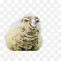 水彩 颜料 湿墨-空若网 水彩 颜料 湿墨-空若网