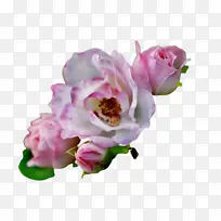 ˮ�� ���� ʪī-������