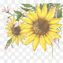 �� ���տ� ��ɫ-������