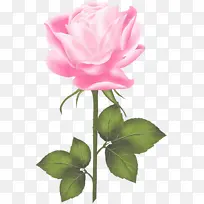 �� ����ֲ�� ����-������