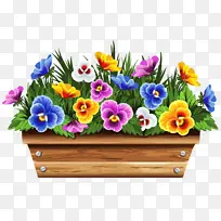 �� ���� ֲ��-������