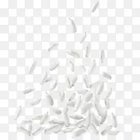 白 黑-空若网 白 黑-空若网