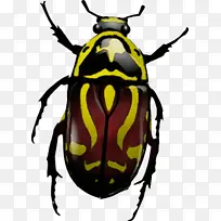 水彩画 油漆 湿墨水-空若网 水彩画 油漆 湿墨水-空若网