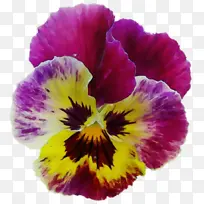 ˮ�ʻ� ���� ʪī-������