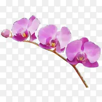 水彩画 颜料 湿墨-空若网 水彩画 颜料 湿墨-空若网