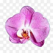 水彩 颜料 湿墨-空若网 水彩 颜料 湿墨-空若网