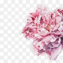 ˮ�� ���� ʪī-������