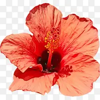 水彩 颜料 湿墨-空若网 水彩 颜料 湿墨-空若网