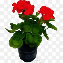 水彩画 颜料 湿墨-空若网 水彩画 颜料 湿墨-空若网