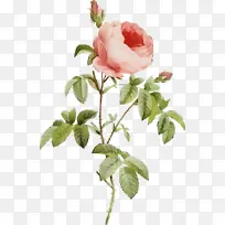 ˮ�� ���� ʪī-������