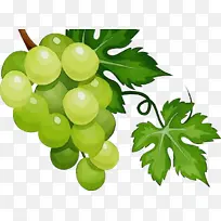 ˮ�� ���� ʪīˮ-������