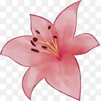 水彩 油漆 湿墨-空若网 水彩 油漆 湿墨-空若网