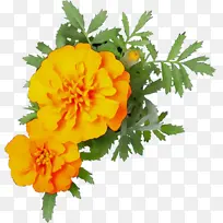 水彩画 颜料 湿墨-空若网 水彩画 颜料 湿墨-空若网