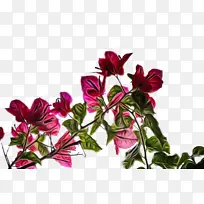 水彩 颜料 湿墨-空若网 水彩 颜料 湿墨-空若网