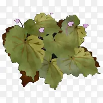 ˮ�ʻ� ���� ʪī-������