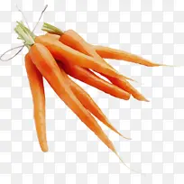 ˮ�ʻ� ���� ʪīˮ-������