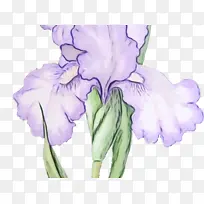 水彩 颜料 湿墨-空若网 水彩 颜料 湿墨-空若网