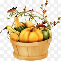 ��ȻʳƷ ��« �߲�-������