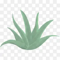 叶 绿色 植物-空若网 叶 绿色 植物-空若网