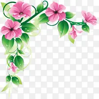 花朵 花瓣 粉色-空若网 花朵 花瓣 粉色-空若网