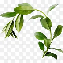 ˮ�ʻ� ���� ʪī-������