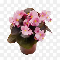 水彩 油漆 湿墨-空若网 水彩 油漆 湿墨-空若网