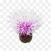 水彩 颜料 湿墨-空若网 水彩 颜料 湿墨-空若网