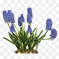 水彩画 油漆 湿墨水-空若网 水彩画 油漆 湿墨水-空若网