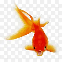 水彩画 油漆 湿墨水-空若网 水彩画 油漆 湿墨水-空若网