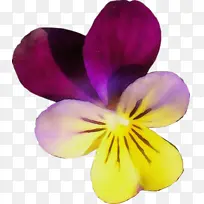 水彩画 颜料 湿墨-空若网 水彩画 颜料 湿墨-空若网