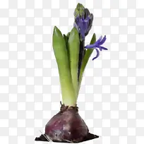 水彩画 颜料 湿墨-空若网 水彩画 颜料 湿墨-空若网