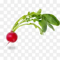 水彩 油漆 湿墨-空若网 水彩 油漆 湿墨-空若网