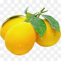 黄色 水果 食品-空若网 黄色 水果 食品-空若网