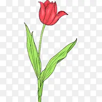 采购产品花 开花植物 植物-空若网 采购产品花 开花植物 植物-空若网