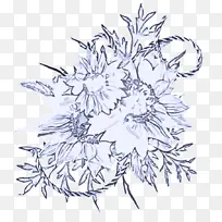 ��ɫ �������� ֲ��-������