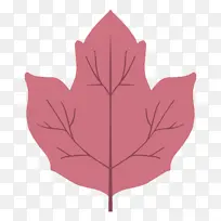 叶 树 枫叶-空若网 叶 树 枫叶-空若网