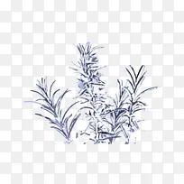 植物 叶 草-空若网 植物 叶 草-空若网