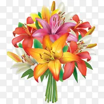花卉 开花植物 百合-空若网 花卉 开花植物 百合-空若网