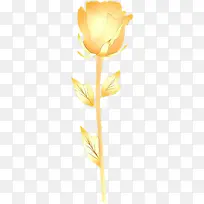 ��ͨ ��ɫ ����-������